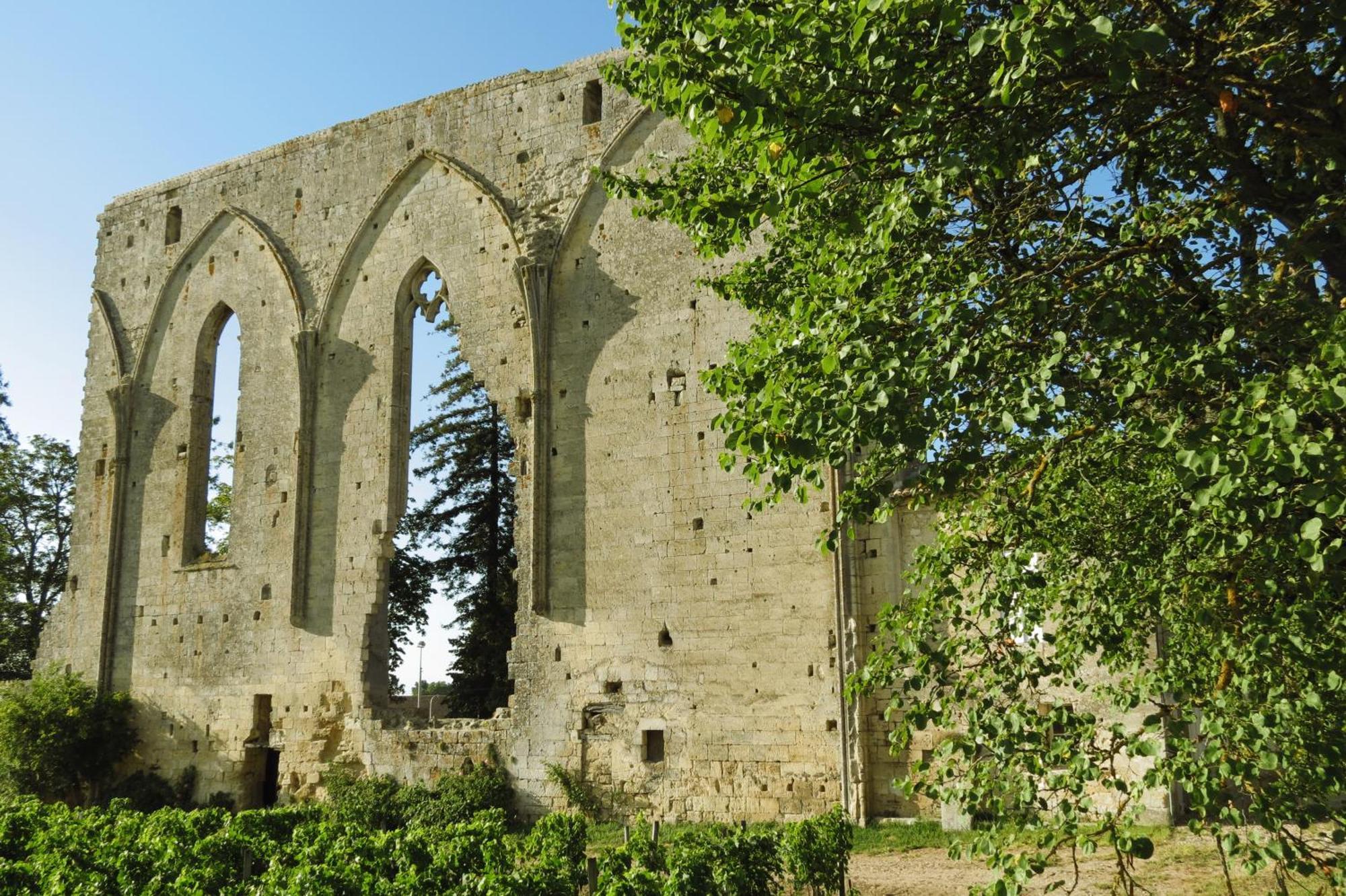 Bleu Raisin Bed & Breakfast Les Salles-de-Castillon Dış mekan fotoğraf